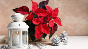 profimedia-0986870619