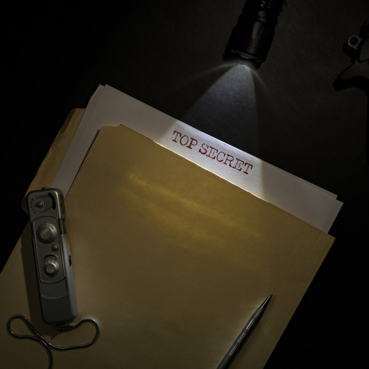 Tajemství z archivů: Skutečný experiment CIA a psi na dálkové ovládání