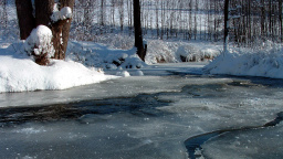 Přijde pravá zima, tvrdí meteoroložka. Budou bílé Vánoce?