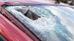 Jela do práce – a z nebe jí spadla kočka. To, co následovalo, je neuvěřitelné