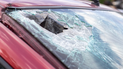 Jela do práce – a z nebe jí spadla kočka. To, co následovalo, je neuvěřitelné