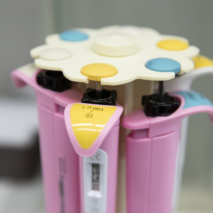 Vědci zjistili, že projevy stárnutí ženských vajíček je možné zvrátit a jejich poškození opravit.