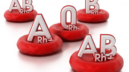 Nejvzácnější krevní typ světa: Jen 50 lidí ho má a může změnit medicínu