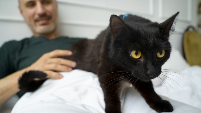 elderly-person-spendng-tim-with-their-pets