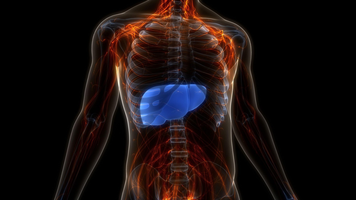 Nemusíte být alkoholici, aby vám hrozila cirhóza. Šokující pravda o zdraví jater