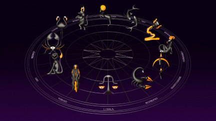 Odhoďte minulost a důvěřujte intuici: 11. prosinec přináší kompletní restart