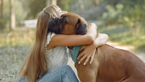 woman-summer-forest-playing-with-dog