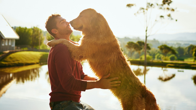 whos-big-boy-full-length-shot-handsome-young-man-his-dog-spending-day-by-lake-park
