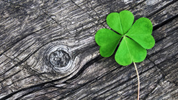 Těchto 5 znamení zvěrokruhu údajně přitahuje štěstí