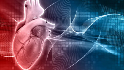 Finský recept na dlouhověkost: Věda potvrzuje nižší riziko demence i srdečních chorob