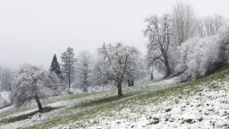 Dočkáme se dnes sněhové nadílky? Meteorologové hlásí sněžení jen na části území