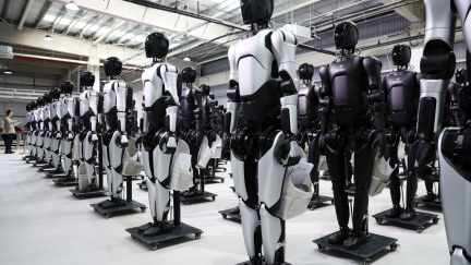 Humanoid za 30 tisíc na den. Půjčte si svého robota