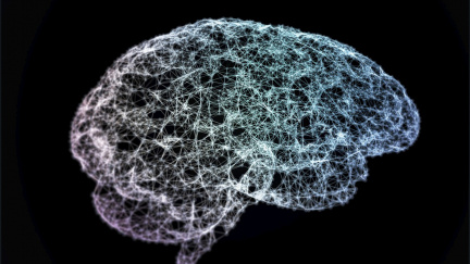 Vědci postavili digitální mozek. To, co se děje uvnitř, je znepokojivé