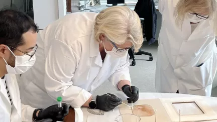 Vědci nevylučují, že na obraze našli DNA Leonarda da Vinciho