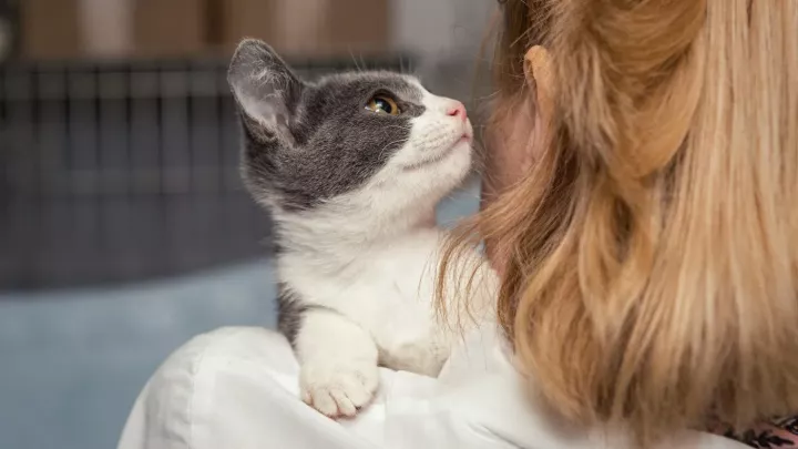 Rodině se ztratil tenhle tvoreček. Následoval neskutečný, hřejivý příběh shledání