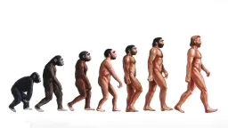 Proč vlastně chodíme po dvou? Evoluční nehoda, která z nás udělala vládce planety