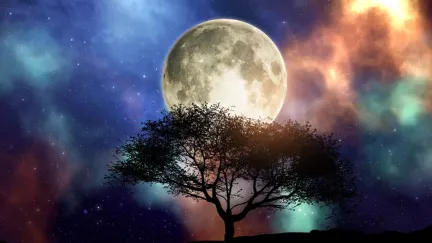 Lunární horoskop na pátek 6. února: Ideální čas na změnu image a ticho v náruči Poustevníka