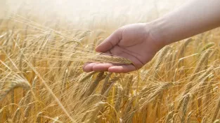 Lidské ruce mají tajnou schopnost, v tomhle testu porazily i roboty