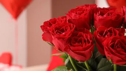 Tajemství svátku lásky. Kdo byl svatý Valentin a proč slavíme právě 14. únor?