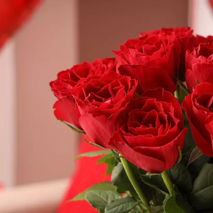 Tajemství svátku lásky. Kdo byl svatý Valentin a proč slavíme právě 14. únor?