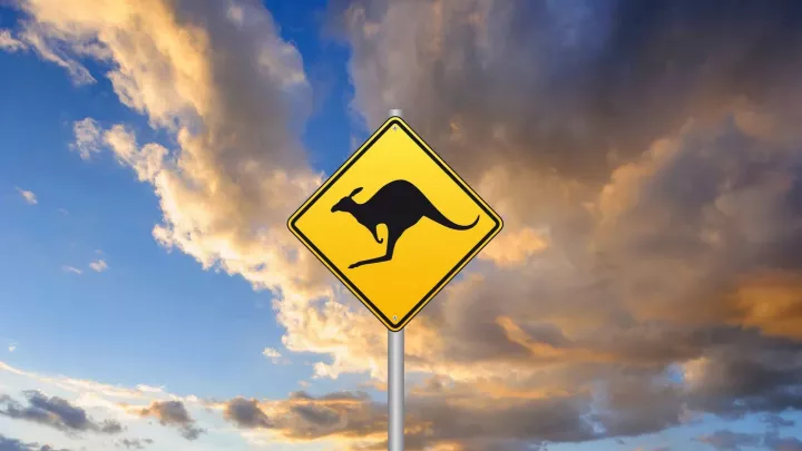 Krvavý souboj s klokanem. Farmář v důchodu měl obrovské štěstí