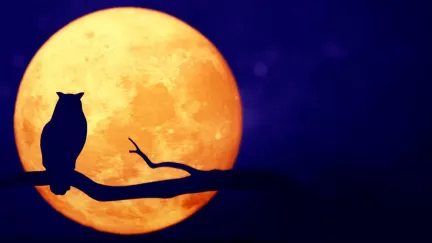 Lunární horoskop na sobotu 7. března: Pozor na ztrátu vlastní tváře! Proč dnes nekopírovat?