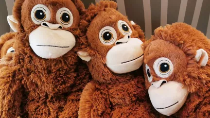 Hračka z IKEA za pár stovek se prodává za tisíce. Máte ji také doma?