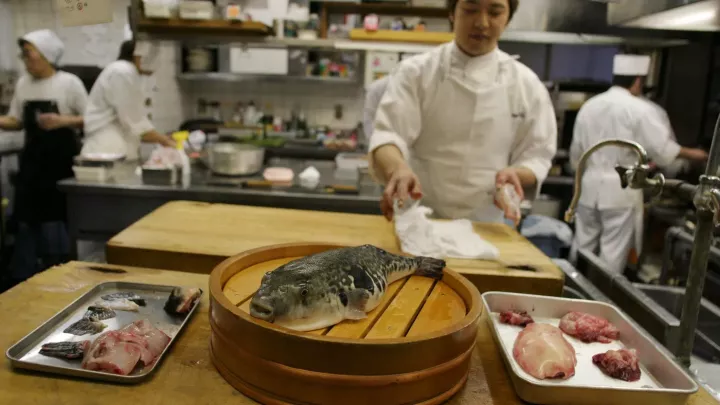Nejnebezpečnější jídlo na světě. Japonci ho jedí dobrovolně