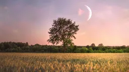 Lunární horoskop na čtvrtek 19. března: Den pro studium a romantiku, ne pro utrácení peněz
