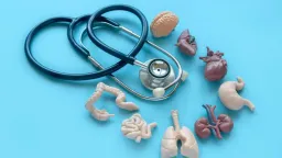 Biotechnologická firma má odvážný plán jak zastavit testování na zvířatech. Pěstovat lidská těla bez mozku