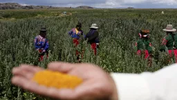 Vědci v Peru poprvé spojili pesticidy a některé typy rakoviny na národní úrovni