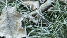 Česko se vzpamatovává z mrazivého rána. Meteorologové určili, kdy se začne oteplovat