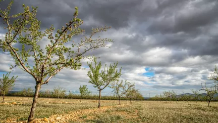 Aprílové počasí v plné síle: Nejdřív 22 stupňů, pak zas sníh, hlásí meteorologové