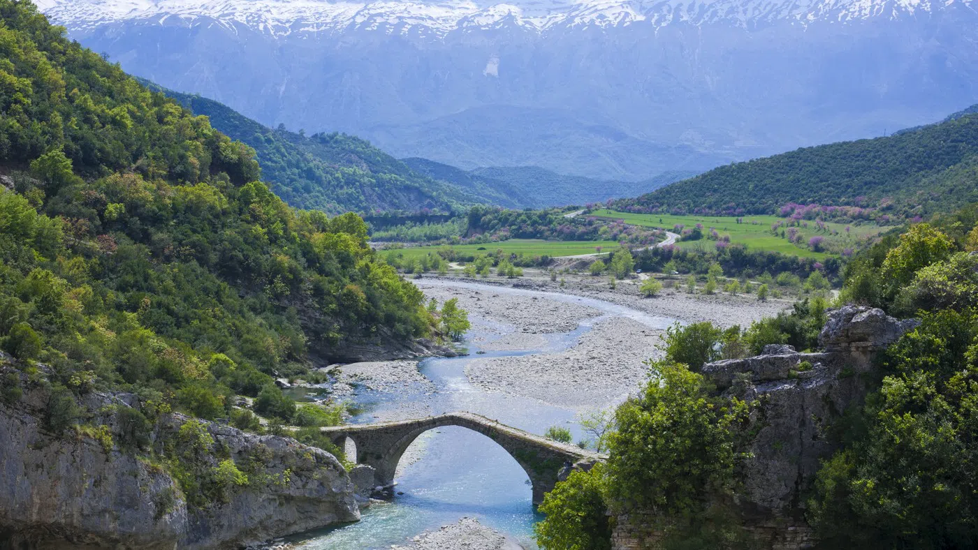 albania 3