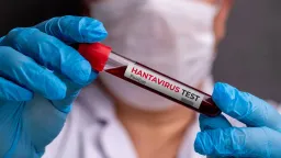 Smrtící virus na výletní lodi: Experti zřejmě našli pacienta nula i zdroj nákazy