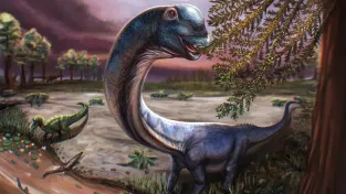 Poslední titán: Vědci našli kostru tak obrovského dinosaura, že zahanbí i paneláky