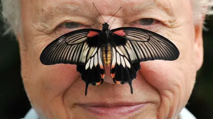 Sto let Davida Attenborougha: Muž, jehož hlas naučil svět milovat přírodu