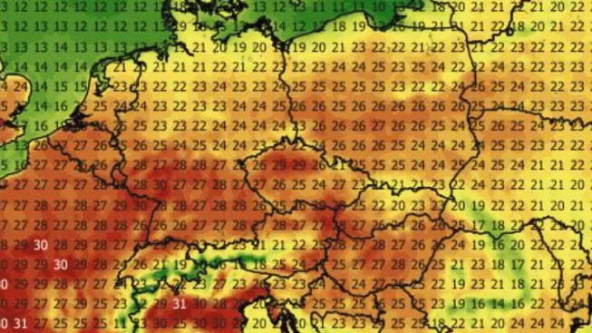 wxcharts 5