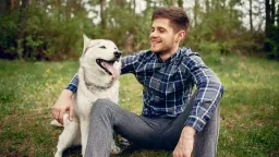 Neseberete po psovi, bez pardonu vás vyhodí z bytu. Měla by podobná pravidla platit i u nás?