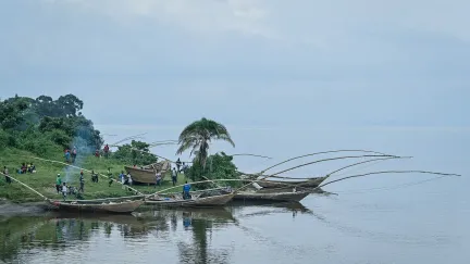 Vraždící jezero. Děsivá přírodní anomálie udusila přes noc vše živé v okolí