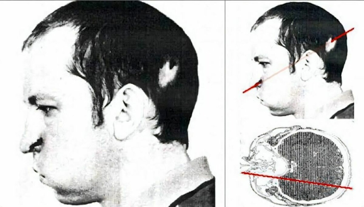 bugorski 2