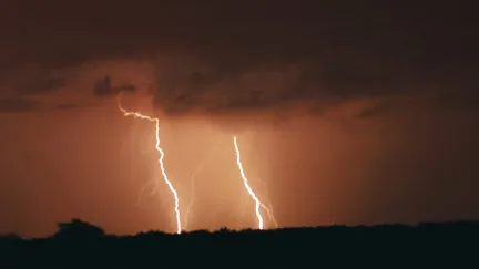 Záchranáři na Jindřichohradecku ošetřili šest lidí po zásahu bleskem do stromu
