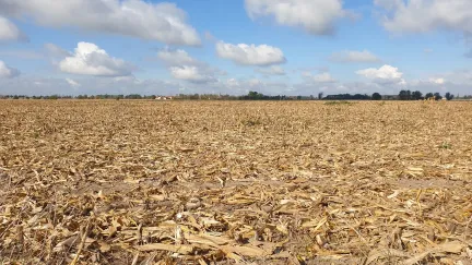 Kruté sucho už má následky: ČHMÚ vydává naléhavou výstrahu