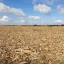 Kruté sucho už má následky: ČHMÚ vydává naléhavou výstrahu