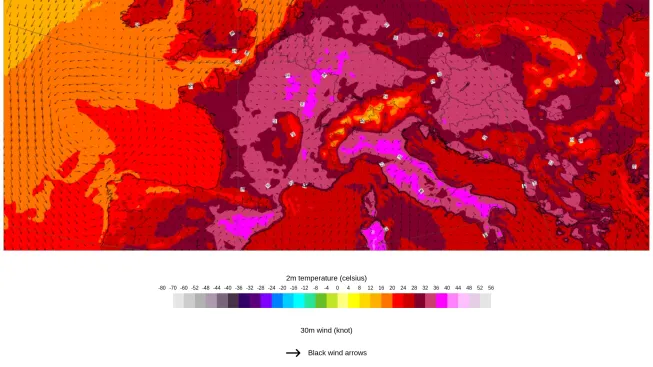 ecmwf 08072026