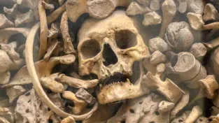 Jeden z nejslavnějších králů historie má ležet pod obyčejným parkovištěm