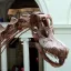 Zapomenutá kost 40 let ležela v zásuvce. Dnes je z ní jeden z nejdůležitějších dinosauřích objevů