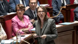 Francouzský parlament definitivně schválil zákaz sociálních sítí dětem