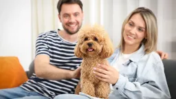 Majitelé psů zpozorněte. Nový lék může vašemu mazlíčkovi přidat roky života
