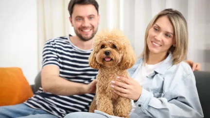 Majitelé psů zpozorněte. Nový lék může vašemu mazlíčkovi přidat roky života